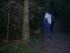 090.jpg size(800,600) 60698 Bytes 