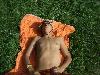 320.jpg size(800,600) 113830 Bytes 