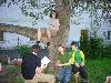 012.jpg size(800,600) 110252 Bytes 
