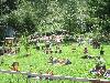 035.jpg size(800,600) 164124 Bytes 