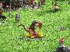 036.jpg size(800,600) 183427 Bytes 