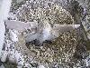 054.jpg size(800,600) 143189 Bytes 