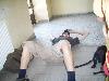 066.jpg size(800,600) 53578 Bytes 