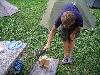 072.jpg size(800,600) 146820 Bytes 