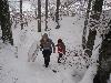 058.jpg size(800,600) 100314 Bytes 
