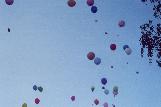 002.jpg size(806,535) 32305 Bytes 