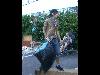 010.jpg size(800,600) 64909 Bytes 