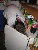058.jpg size(600,800) 58828 Bytes 