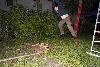 002.jpg size(800,533) 115736 Bytes 