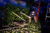 004.jpg size(800,533) 120295 Bytes 
