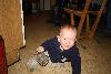 176.jpg size(800,533) 57705 Bytes 