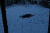 078.jpg size(717,476) 41241 Bytes 
