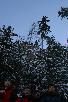 093.jpg size(476,717) 74600 Bytes 