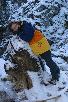 102.jpg size(476,717) 81222 Bytes 