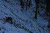 113.jpg size(717,476) 71506 Bytes 