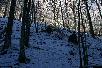 121.jpg size(717,476) 101897 Bytes 