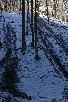124.jpg size(476,717) 98076 Bytes 