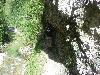 005.jpg size(800,600) 148016 Bytes 