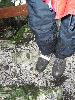 025.jpg size(600,800) 131899 Bytes 