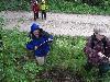 038.jpg size(800,600) 128045 Bytes 