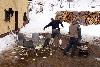 029.jpg size(800,533) 95631 Bytes 