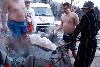 067.jpg size(800,533) 70173 Bytes 