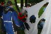 090.jpg size(717,476) 51197 Bytes 