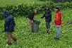 119.jpg size(717,476) 101359 Bytes 