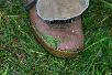 121.jpg size(717,476) 75383 Bytes 