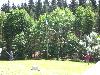 012.jpg size(800,600) 125515 Bytes 