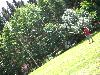 018.jpg size(800,600) 149108 Bytes 