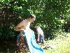 025.jpg size(800,600) 118916 Bytes 