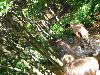 039.jpg size(800,600) 129068 Bytes 
