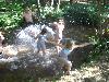 042.jpg size(800,600) 101916 Bytes 