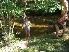 044.jpg size(800,600) 122827 Bytes 