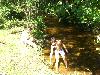 047.jpg size(800,600) 124457 Bytes 