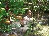 052.jpg size(800,600) 118869 Bytes 