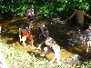 053.jpg size(800,600) 103197 Bytes 