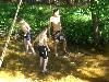 054.jpg size(800,600) 116407 Bytes 