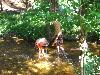 062.jpg size(800,600) 116105 Bytes 