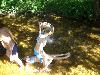 064.jpg size(800,600) 99489 Bytes 