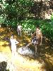 075.jpg size(600,800) 116057 Bytes 
