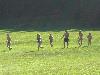 092.jpg size(800,600) 67066 Bytes 