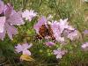 013.jpg size(800,600) 66151 Bytes 
