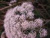 019.jpg size(800,600) 94449 Bytes 