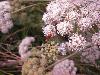 020.jpg size(800,600) 84182 Bytes 