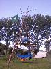024.jpg size(600,800) 115111 Bytes 