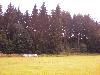 025.jpg size(800,600) 71349 Bytes 