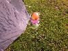 046.jpg size(800,600) 146971 Bytes 