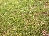 052.jpg size(800,600) 163457 Bytes 